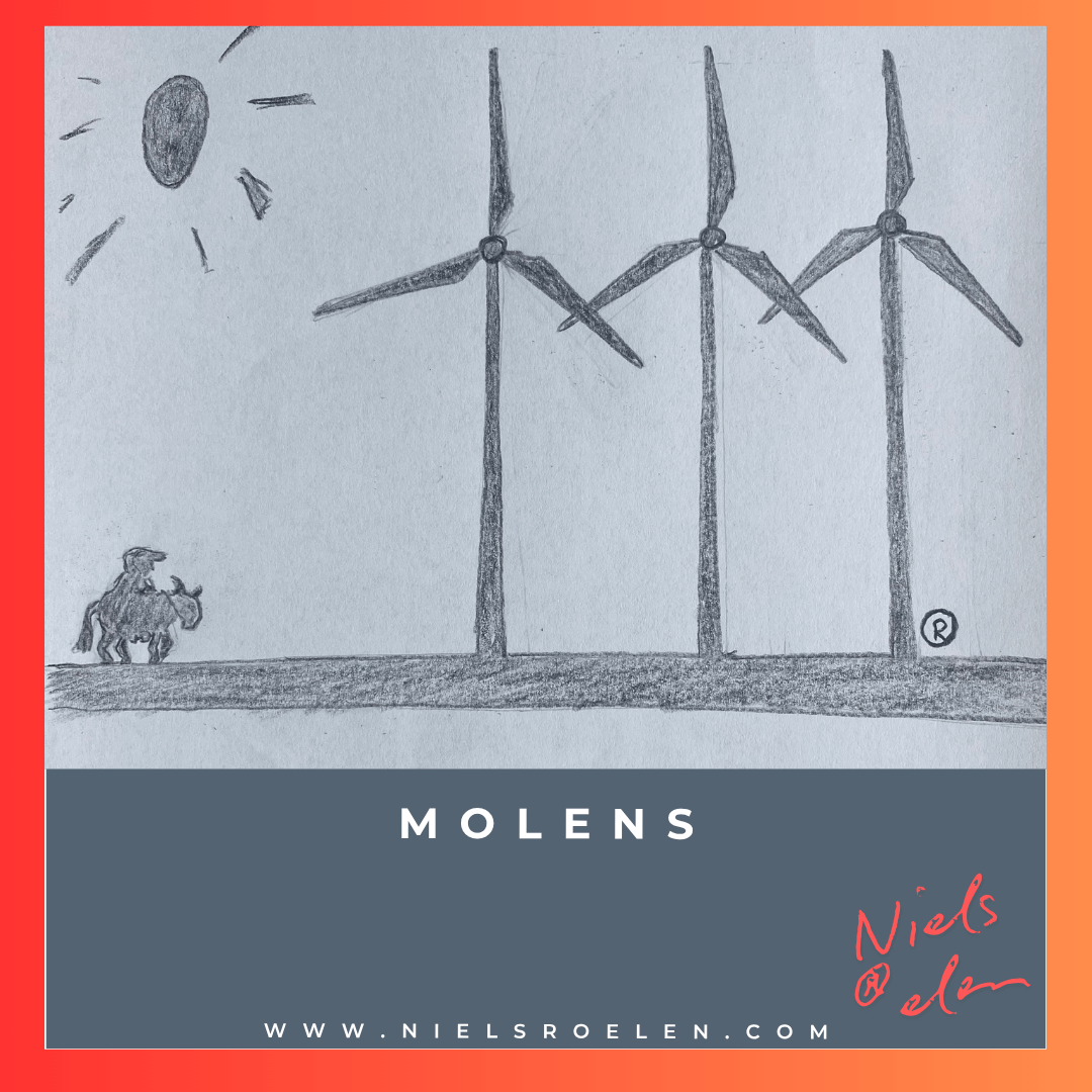 Afbeelding bij blog Niels Roelen