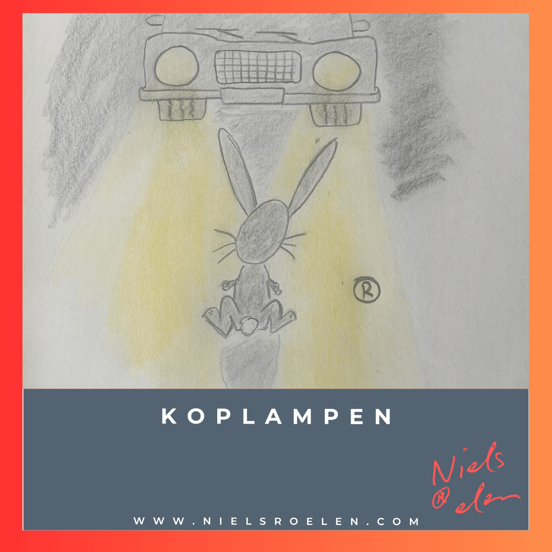 Afbeelding bij blog Niels Roelen