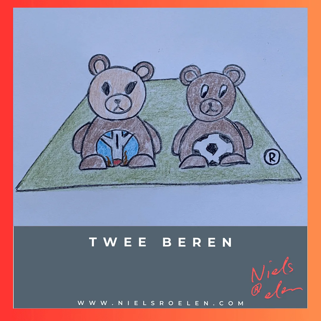 afbeelding bij blog Niels Roelen