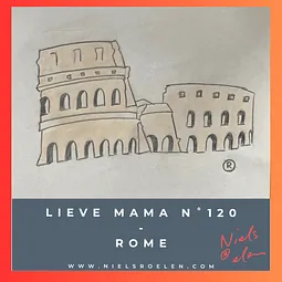 Afbeelding bij blog Niels Roelen