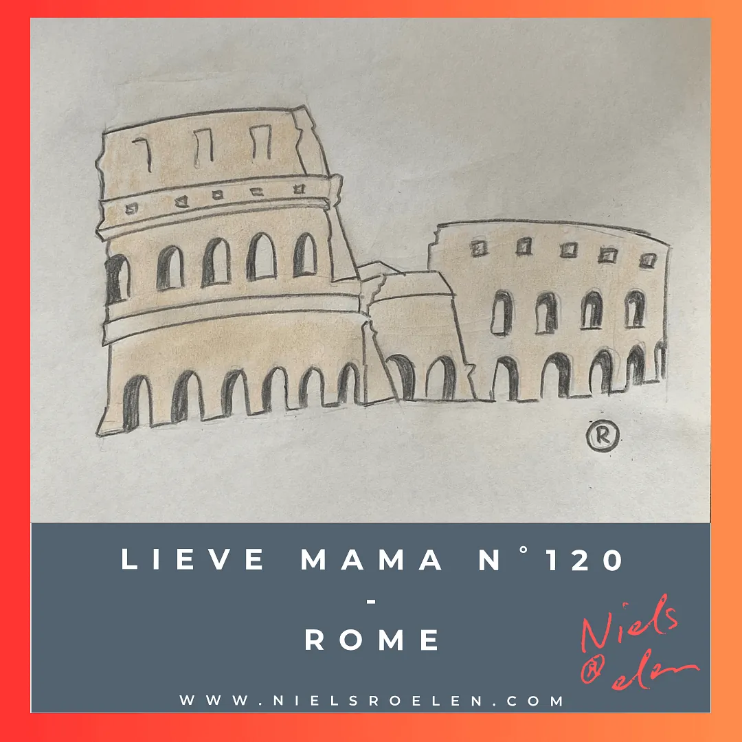 Afbeelding bij blog Niels Roelen