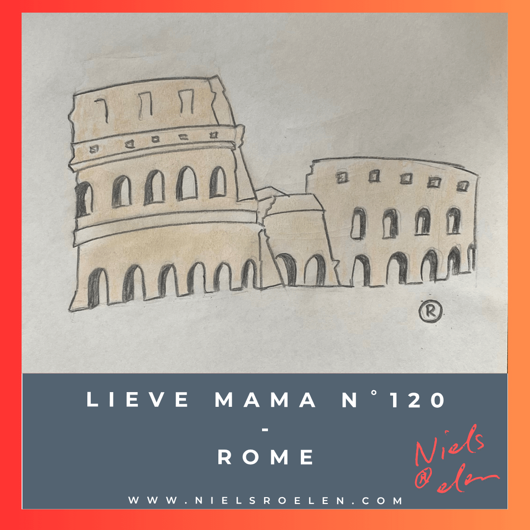 Afbeelding bij blog Niels Roelen