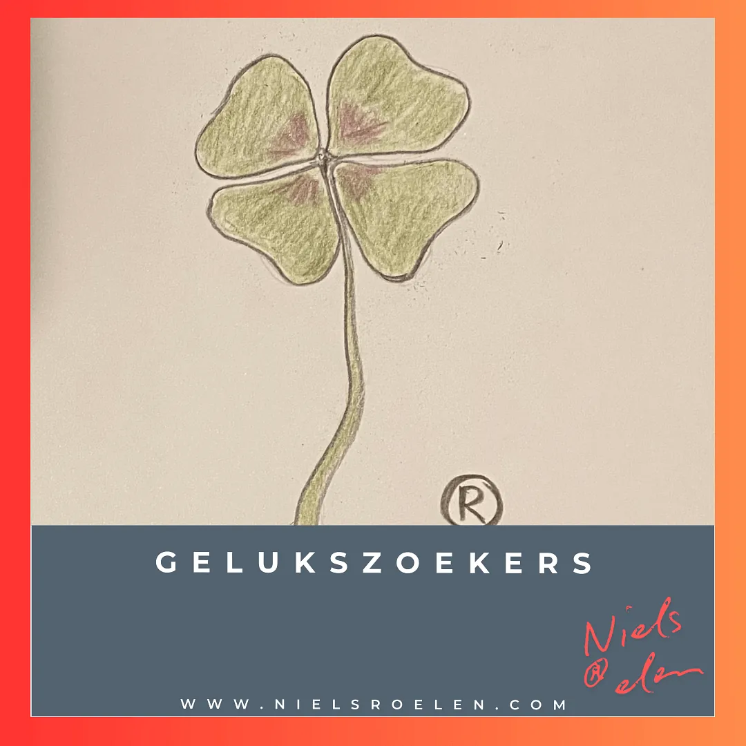 afbeelding bij blog Niels Roelen