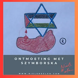 Afbeelding bij Blog Niels Roelen