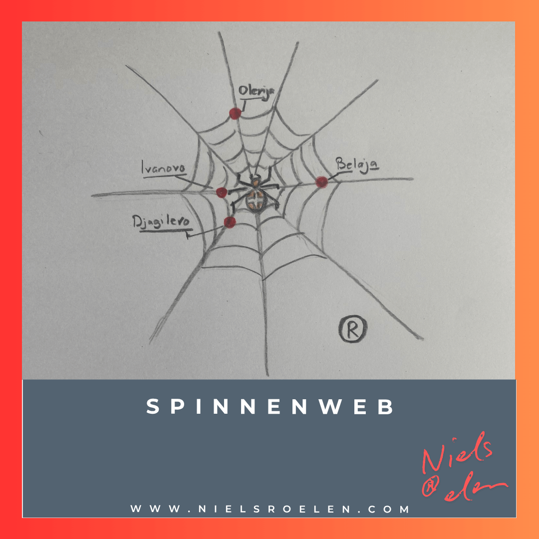Afbeelding bij blog Niels Roelen